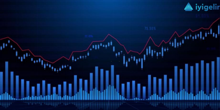 BYF ve Yatırım Fonu